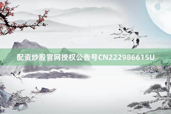 配资炒股官网授权公告号CN222986615U