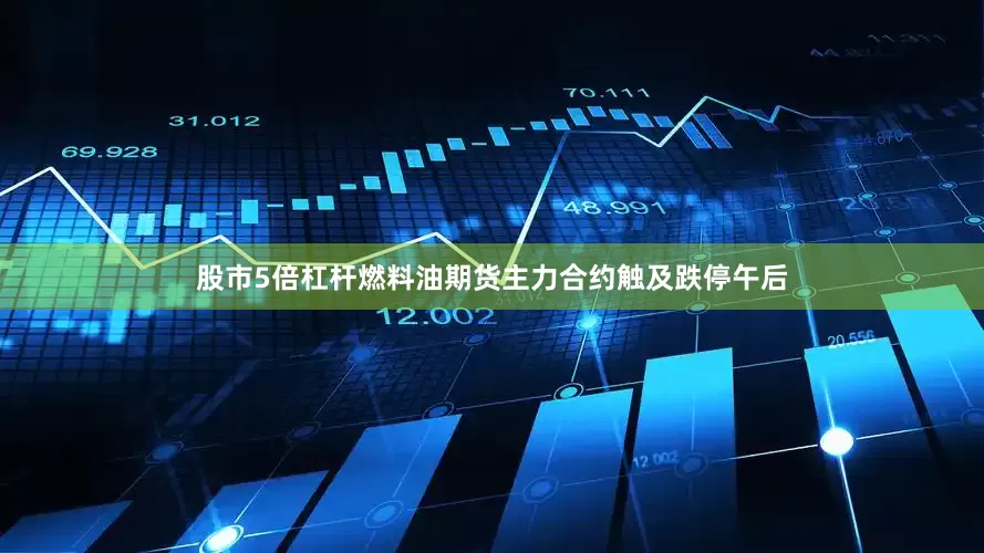 股市5倍杠杆　　燃料油期货主力合约触及跌停　　午后