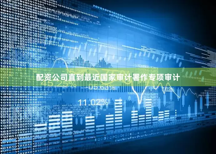 配资公司直到最近国家审计署作专项审计