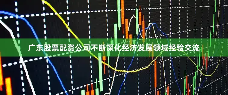 广东股票配资公司不断深化经济发展领域经验交流