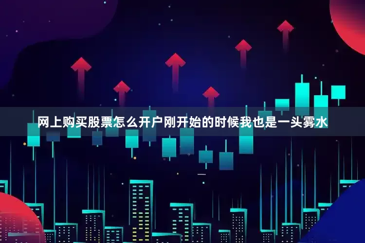 网上购买股票怎么开户刚开始的时候我也是一头雾水
