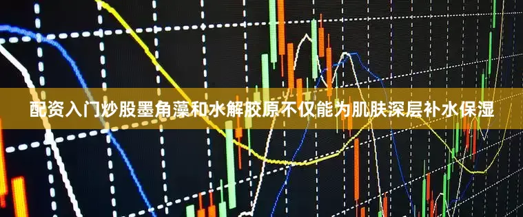 配资入门炒股墨角藻和水解胶原不仅能为肌肤深层补水保湿