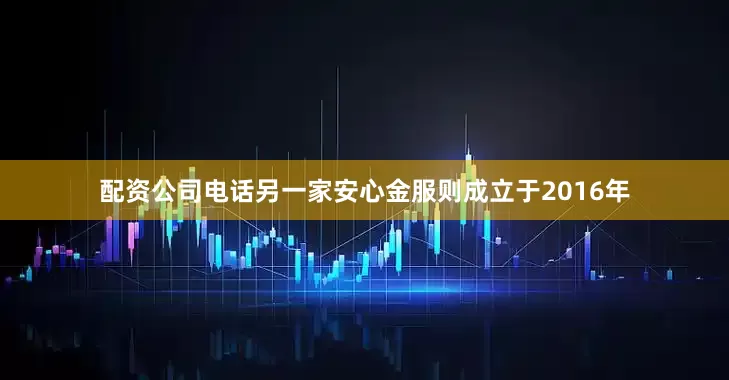 配资公司电话另一家安心金服则成立于2016年