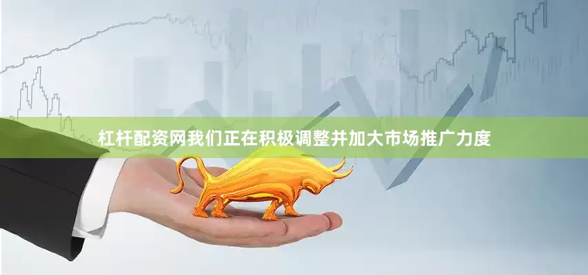 杠杆配资网我们正在积极调整并加大市场推广力度