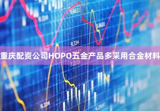 重庆配资公司HOPO五金产品多采用合金材料